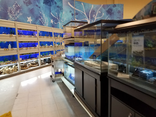 Pet Supply Store «PetSmart», reviews and photos, 1010 E Lancaster Ave, Downingtown, PA 19335, USA