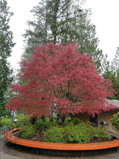 Tourist Attraction «Snoqualmie Falls Lower Observation Deck», reviews and photos, 37451 SE Fish Hatchery Rd, Fall City, WA 98024, USA