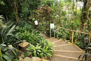 Phantasea Tropical Botanical Garden image