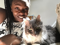 Paws and Claws 202 - Photo 8 - Car repair in , Washington