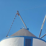 Photo n°1 de l'avis de Elsa.a fait le 23/09/2023 à 17:15 sur le  Restaurante O Moinho do Cu Torto à Evora