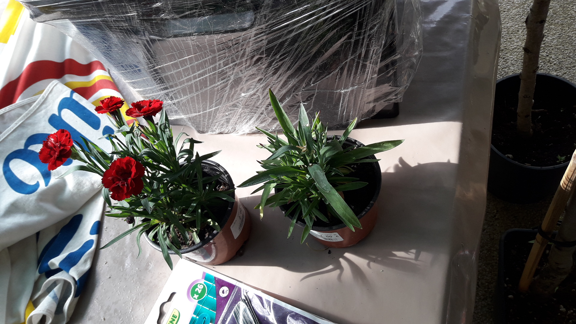 Photo n° 4 de l'avis de Cendrine.O fait le 05/05/2018 à 15:35