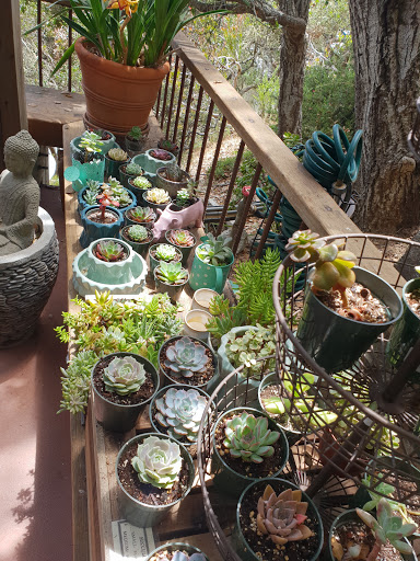 Gift Shop «Phoenix Shop», reviews and photos, 48510 CA-1, Big Sur, CA 93920, USA