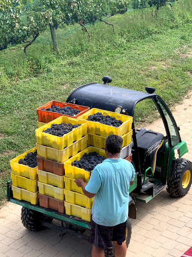 Vineyard «Haight Vineyard», reviews and photos, 29 Chestnut Hill Rd, Litchfield, CT 06759, USA