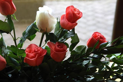 Golf Club «Ballyowen Golf Club», reviews and photos, 137 Wheatsworth Rd, Hamburg, NJ 07419, USA