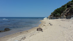 Punta Perruledda North Beach'in fotoğrafı geniş bir kıyı şeridi ile birlikte