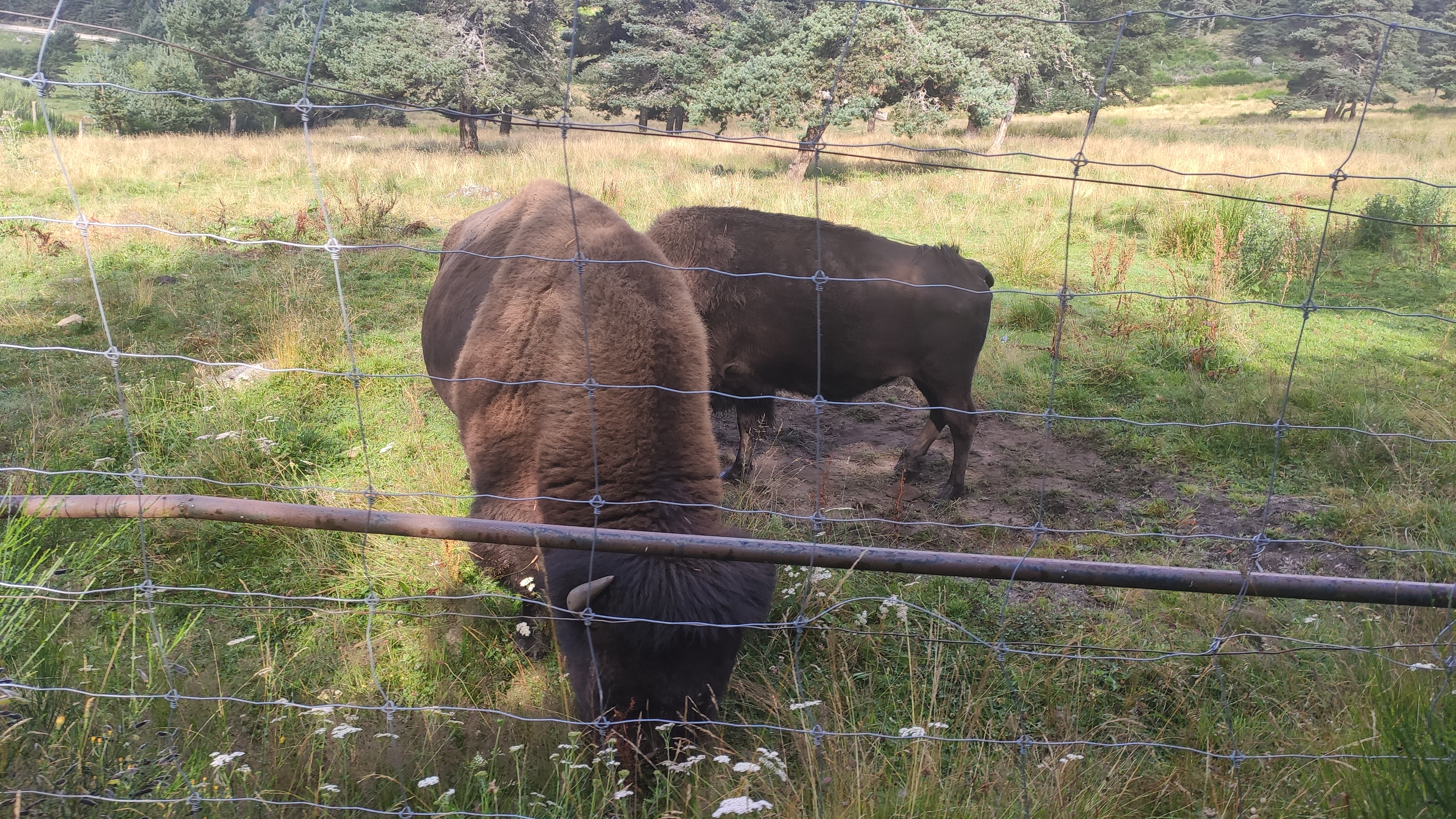 Photo n° 1 de l'avis de Maxime.o fait le 26/08/2021 à 18:46