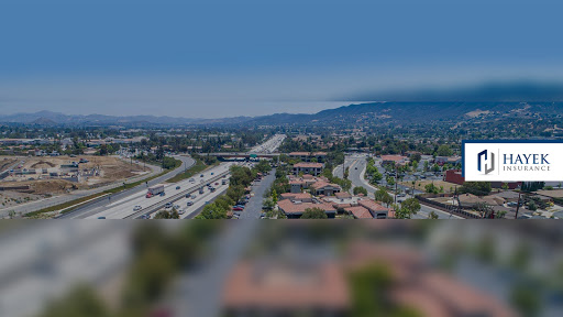 Hayek Insurance image