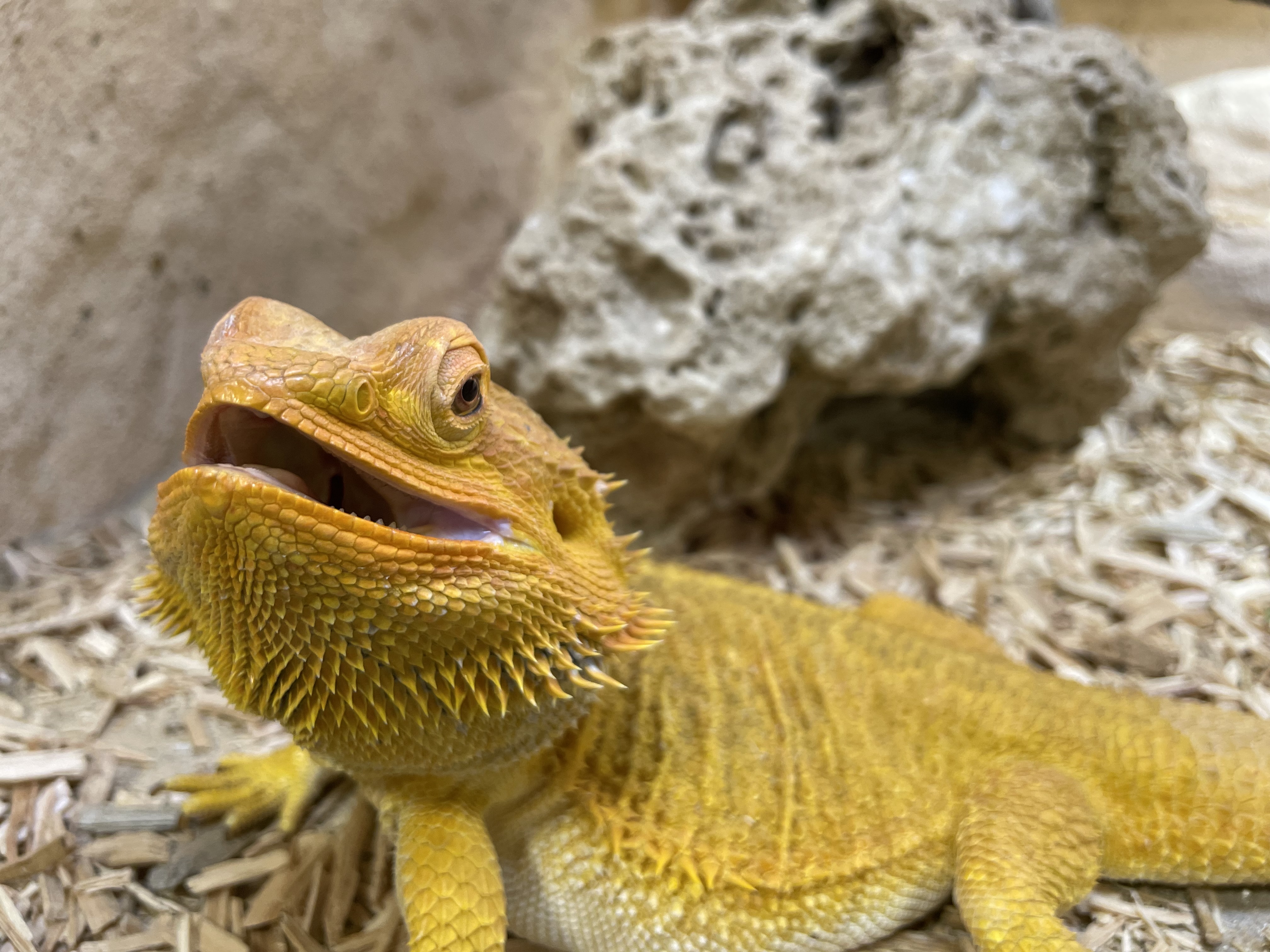 Photo n° 1 de l'avis de Florian.n fait le 05/08/2023 à 16:00