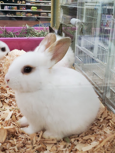 Pet Supply Store «Pet Supermarket», reviews and photos, 265 Tom Hill Sr Blvd, Macon, GA 31210, USA