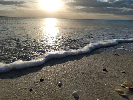 Club «Bay Colony Beach Club», reviews and photos, 8553 Bay Colony Dr, Naples, FL 34108, USA