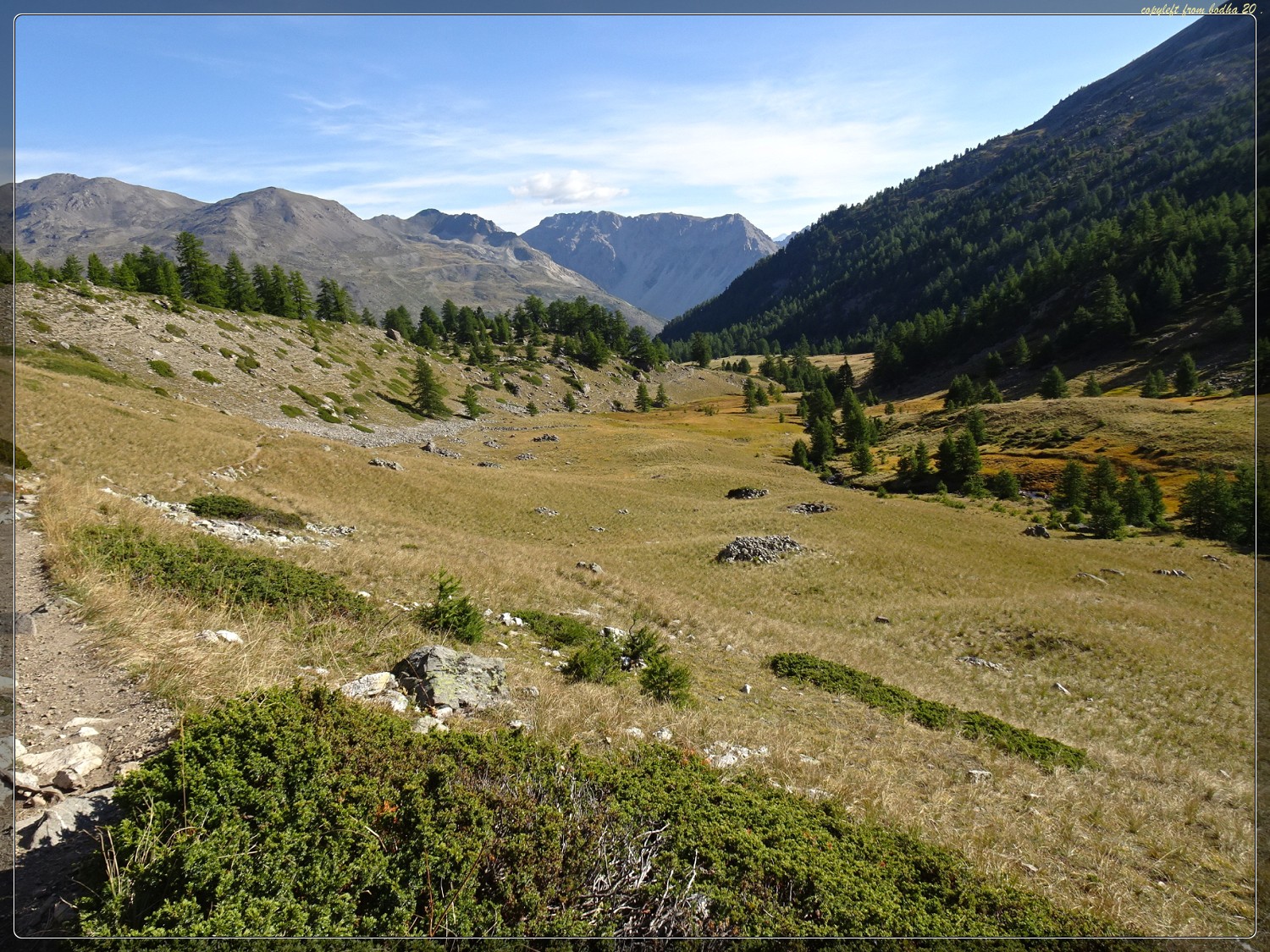 Photo n° 42 de l'avis de bodha.a fait le 23/02/2021 à 19:52