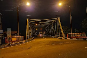 Jembatan Pulorejo image