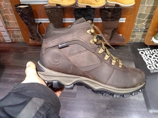 Mister Sports, 72 Westchester Square, Bronx, NY 10461, USA, 