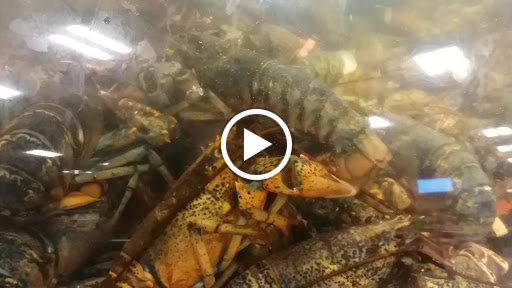 Grocery Store «Star Market», reviews and photos, 45 William T Morrissey Blvd, Dorchester, MA 02125, USA