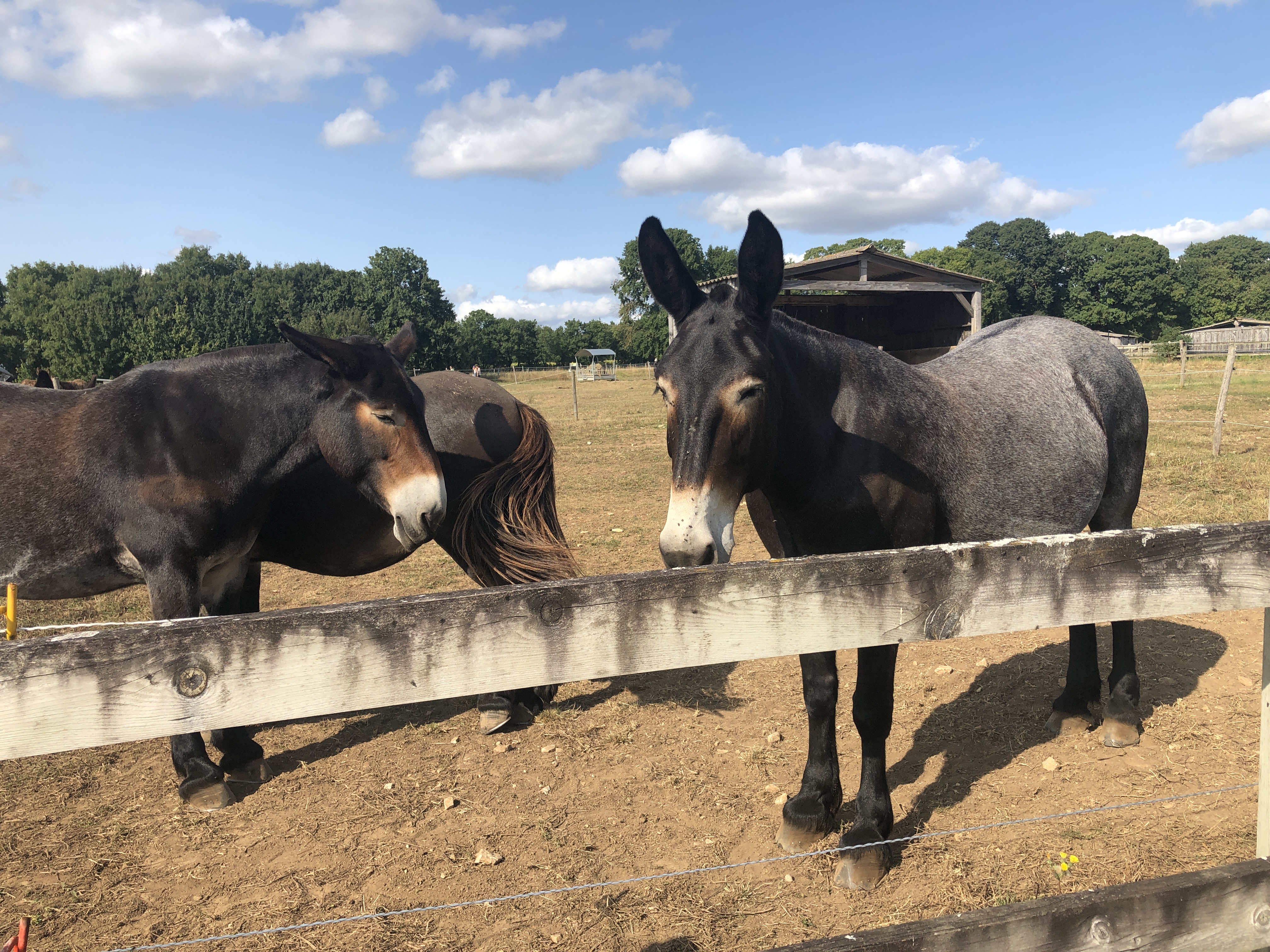 Photo n° 2 de l'avis de Jean-Pierre.E fait le 01/09/2021 à 10:07