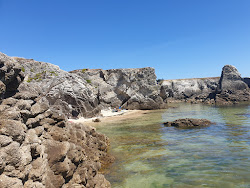 Baie Du Guec beach'in fotoğrafı vahşi alan
