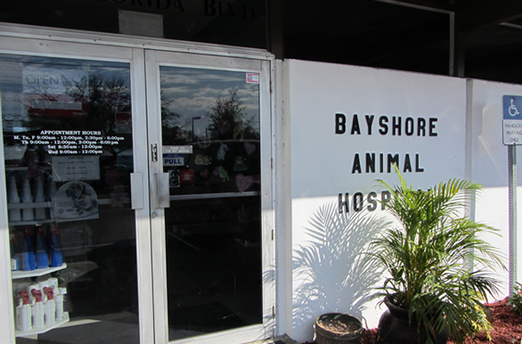 Bayshore Animal Hospital