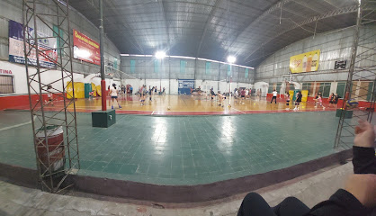Ateneo Voleibol Club
