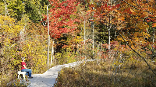 Nature Preserve «Jackson Bog State Nature Preserve», reviews and photos, 7984 Fulton Dr NW, Massillon, OH 44646, USA