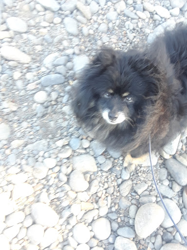 Park «Meldrum Bar Park», reviews and photos, 19 Meldrum Bar Park Rd, Gladstone, OR 97027, USA