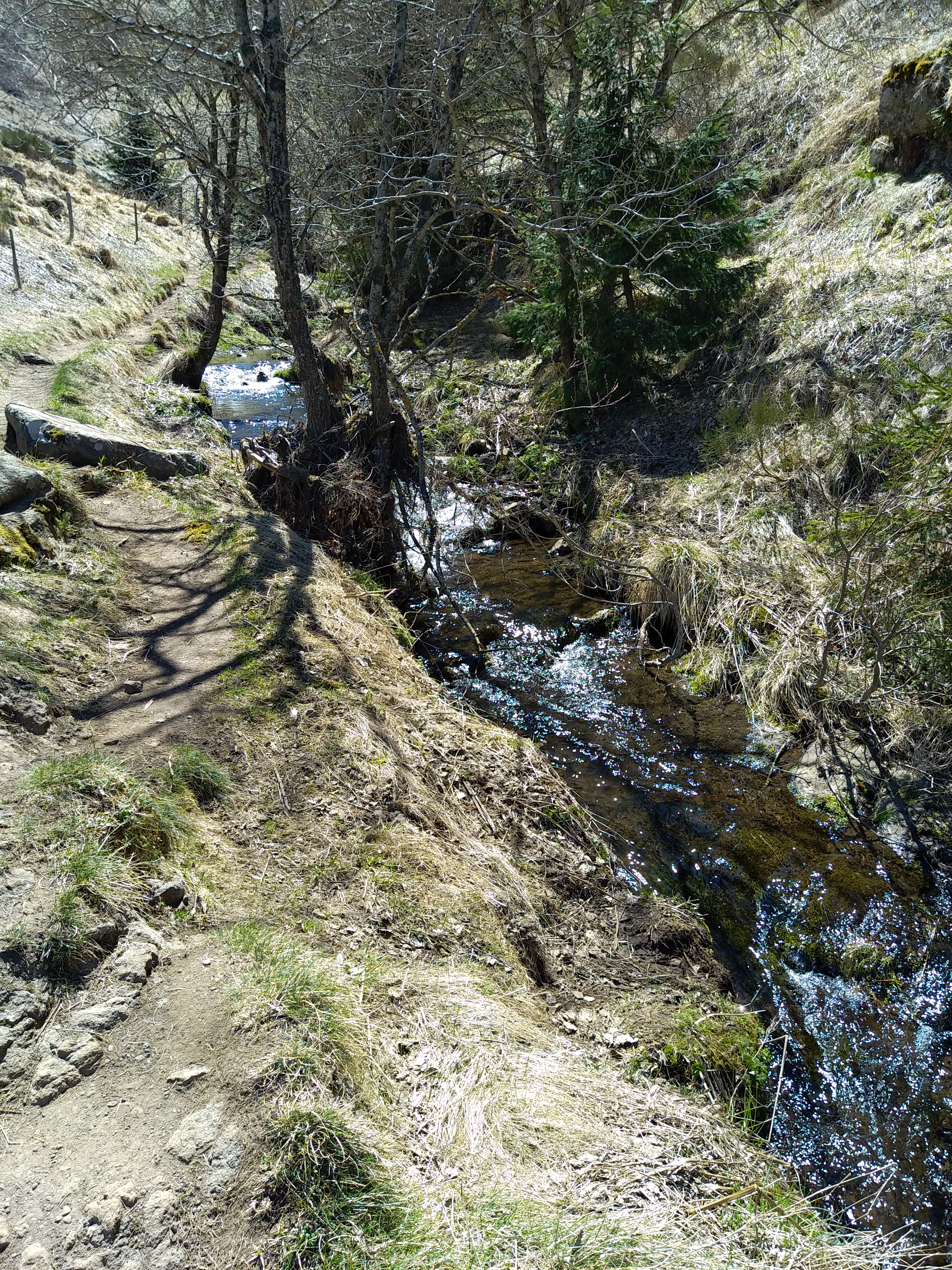 Photo n° 7 de l'avis de Julien.a fait le 17/04/2022 à 17:15