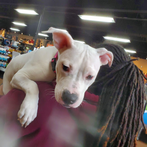 Shopping Mall «Whitemarsh Shopping Center», reviews and photos, Butler Pike, Conshohocken, PA 19428, USA