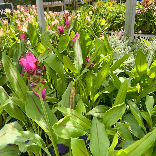 Home Improvement Store «The Home Depot», reviews and photos, 6850 S Fry Rd, Katy, TX 77494, USA