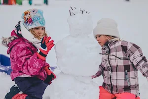 Snowmass Nannies image