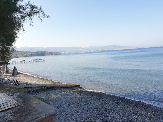 Delfinia beach II