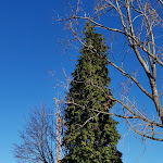 Photo n°17 de l'avis de Prashant.i fait le 25/12/2018 à 22:30 sur le  Batzenhaus à Bad Soden