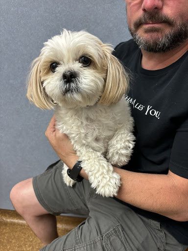 Allenstown Animal Hospital image