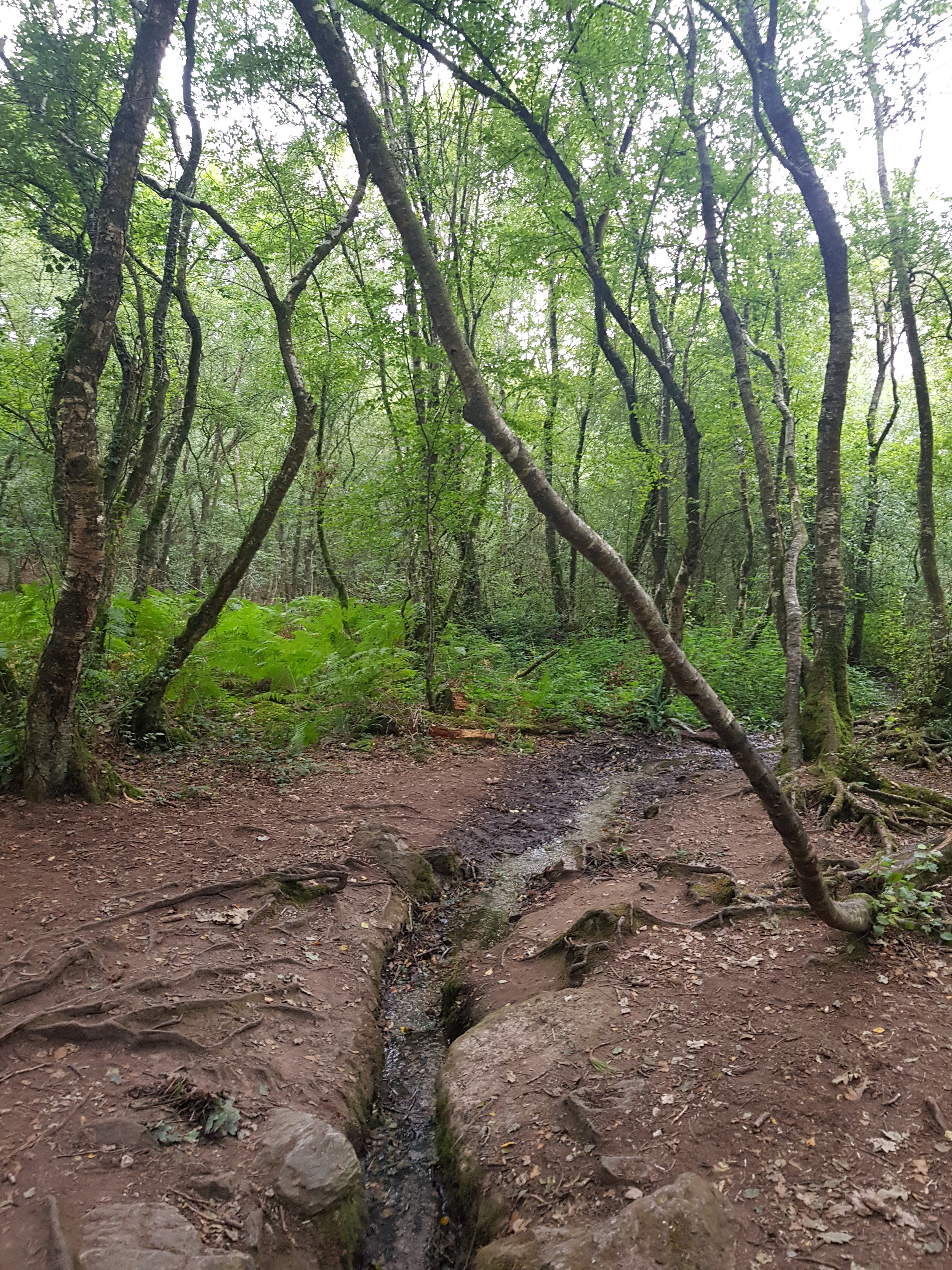 Photo n° 5 de l'avis de Linda. fait le 30/08/2019 à 15:12