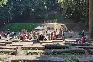 Forest theatre image