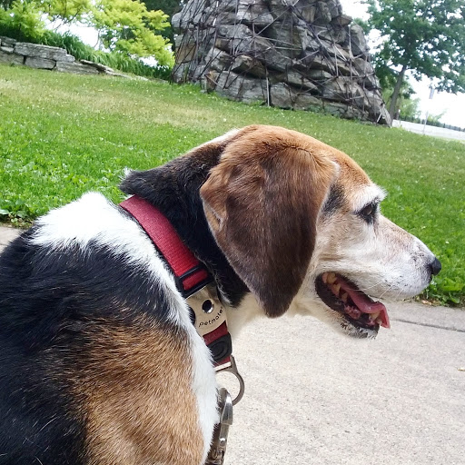 Park «High Bridge Park North», reviews and photos, 476 Smith Ave S, St Paul, MN 55102, USA