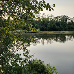 Photo n°8 de Local du bras mort à Oignies ()