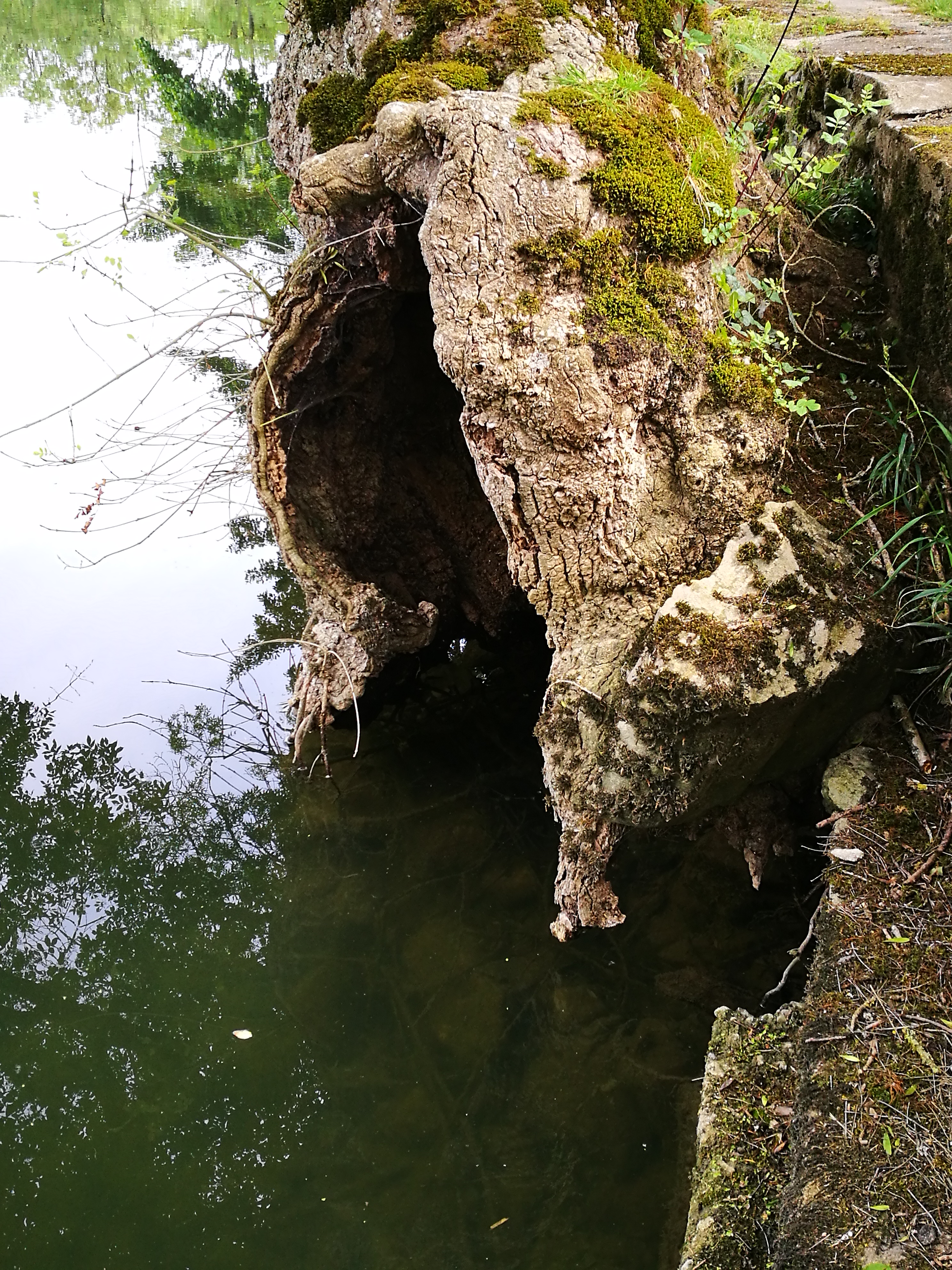 Photo n° 5 de l'avis de Pv.o fait le 28/06/2019 à 21:07
