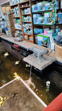 Pet Paradise - Photo 8 - Car repair in Pueblo, CO, Pueblo