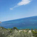 Photo n°2 de l'avis de Miky.r fait le 17/07/2022 à 20:58 sur le  Trattoria Pane e Pomodoro à Mattinata