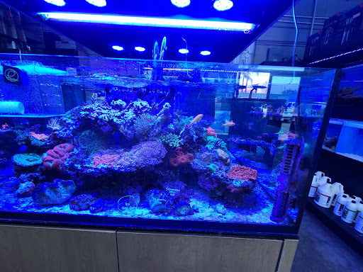 Pet Supply Store «AGE OF AQUARIUMS», reviews and photos, 2642 Cherry Ave, Signal Hill, CA 90755, USA