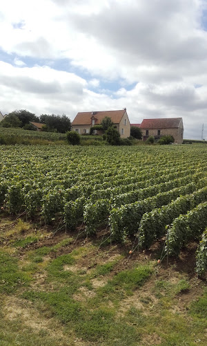 Champagne Johnny Lemaire à Mareuil-le-Port