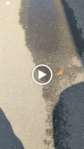 Subaru Dealer «Matt Slap Subaru», reviews and photos, 255 E Cleveland Ave, Newark, DE 19711, USA