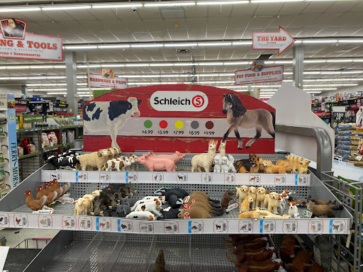 Home Improvement Store «Tractor Supply Co.», reviews and photos, 4267 13th St, St Cloud, FL 34769, USA