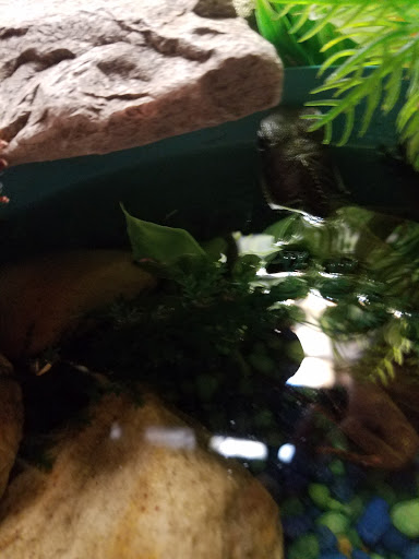 Pet Supply Store «Petco Animal Supplies», reviews and photos, 1237 Flammang Dr, Waterloo, IA 50702, USA