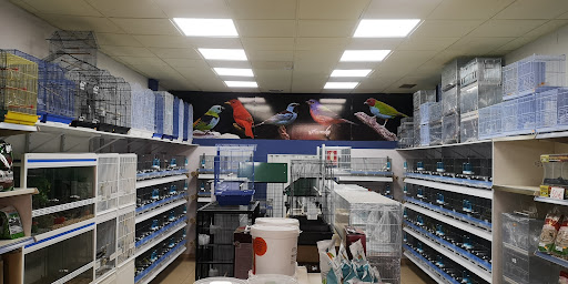 Pajareria Santa Ursula en Santa Úrsula, Santa Cruz de Tenerife