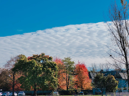 Park «Pequossette Playground», reviews and photos, Maple St, Belmont, MA 02478, USA