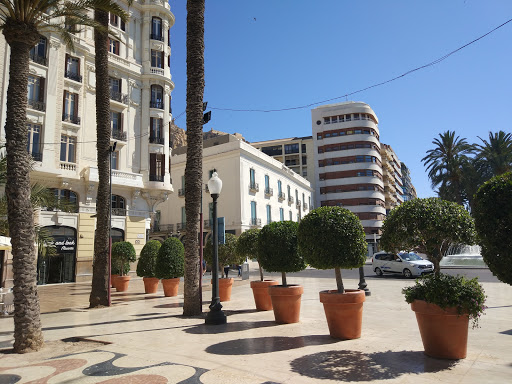 Cámaras de comercio Alicante