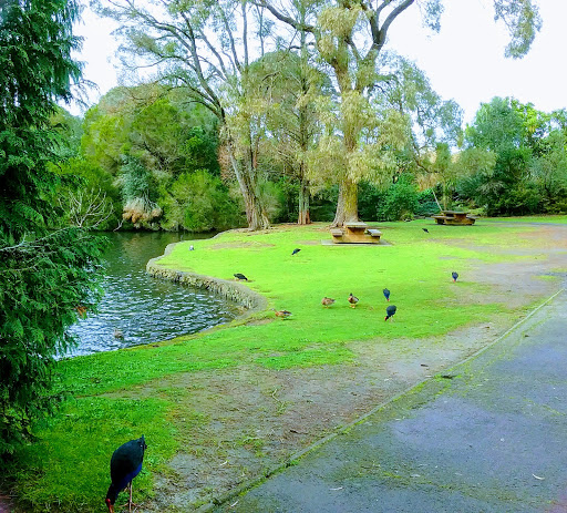 Western Springs Park Auckland