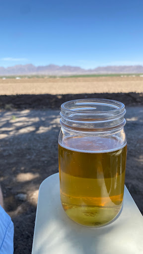 Vineyard «Rio Grande Vineyard & Winery», reviews and photos, 5321 NM-28, Las Cruces, NM 88005, USA