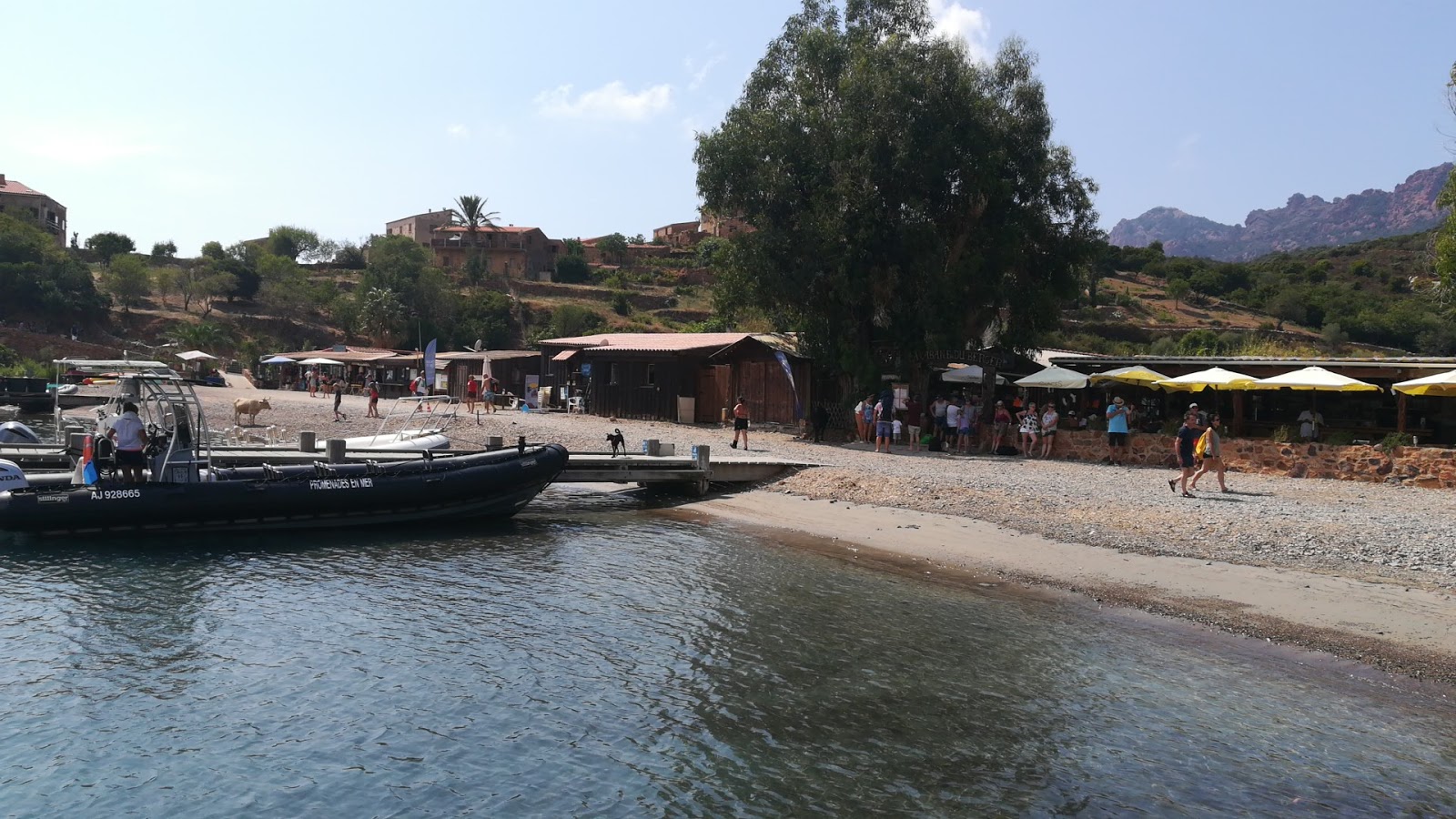 Girolata beach'in fotoğrafı ve yerleşim